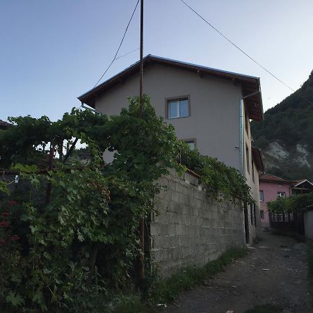 Elenite Guesthouse Γκότσε Ντέλτσεφ Εξωτερικό φωτογραφία