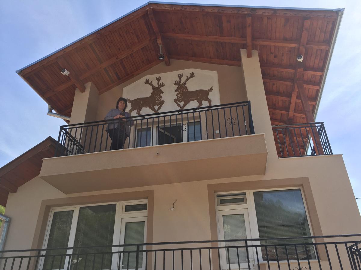 Elenite Guesthouse Γκότσε Ντέλτσεφ Εξωτερικό φωτογραφία