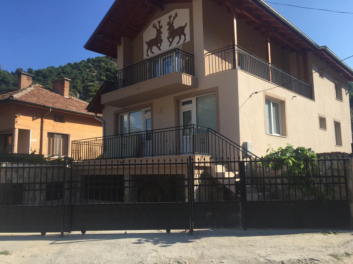 Elenite Guesthouse Γκότσε Ντέλτσεφ Εξωτερικό φωτογραφία