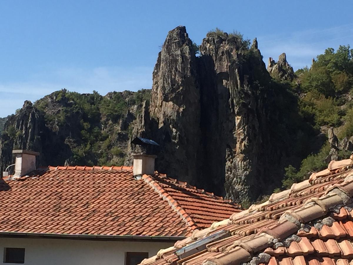 Elenite Guesthouse Γκότσε Ντέλτσεφ Εξωτερικό φωτογραφία