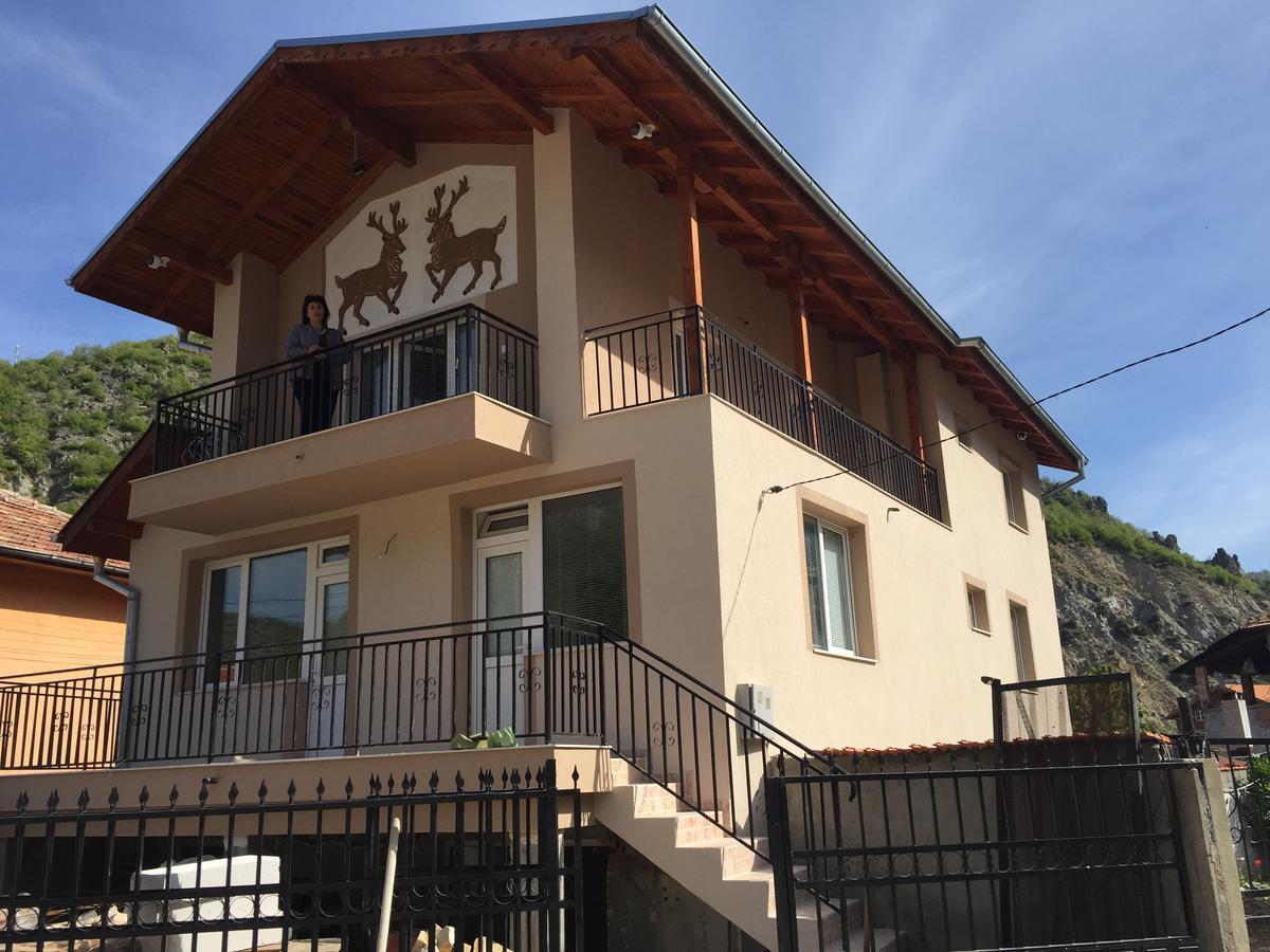 Elenite Guesthouse Γκότσε Ντέλτσεφ Εξωτερικό φωτογραφία